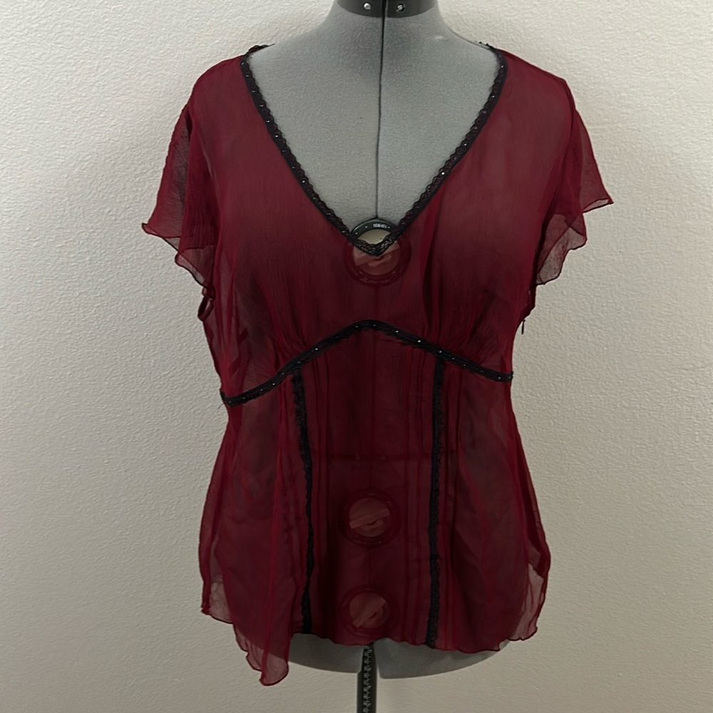 Cranberry sheer Top - The Limited
